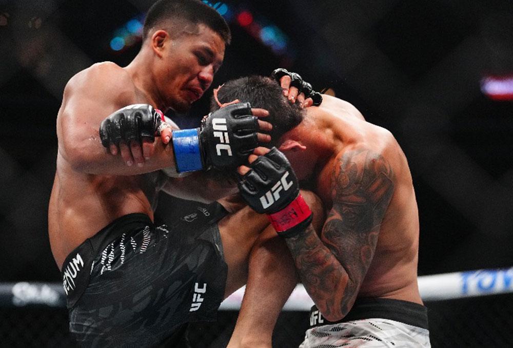 Joshua Van domine Brandon Royval au terme d’un duel acharné et entre dans la course au titre chez les poids mouches | UFC 317 Joshua Van domine Brandon Royval au terme d’un duel acharné et entre dans la course au titre chez les poids mouches | UFC 317