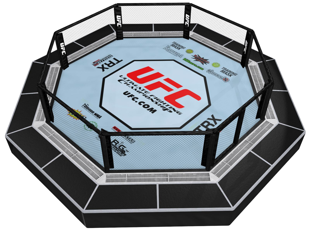 Pourquoi l’UFC a Choisi l’Octogone : Sécurité et Spectacle
