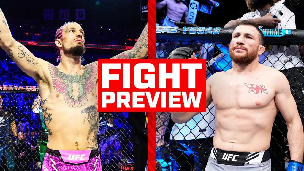 UFC 306 - On Top Of The World : O'Malley vs Dvalishvili | Fight Preview