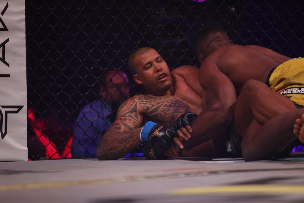 PFL Super Fights - Francis Ngannou détruit Renan Ferreira par TKO au round 1 | Battle of the Giants