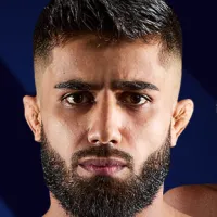 Shirzad Qadrian The Lion Shirzad Qadrian The Lion