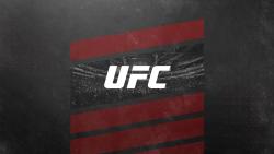 UFC 233 - EVENT ANNULE
