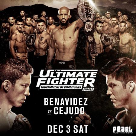 TUF 24 - THE ULTIMATE FIGHTER 24 FINALE