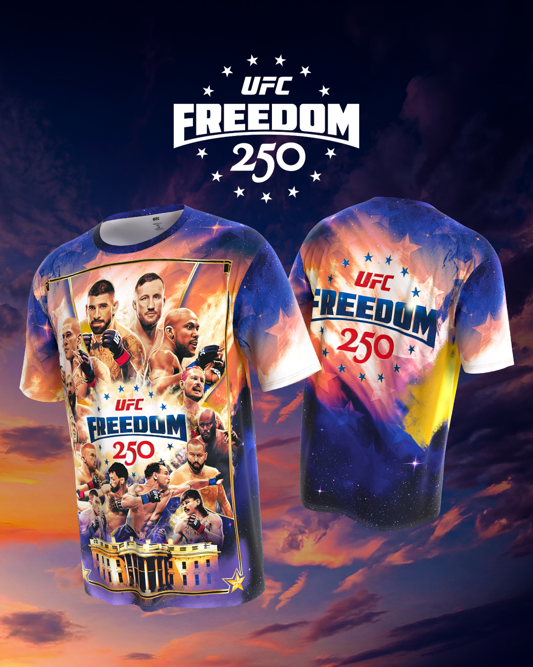 UFC Freedom 250 - Washington - Poster et affiche