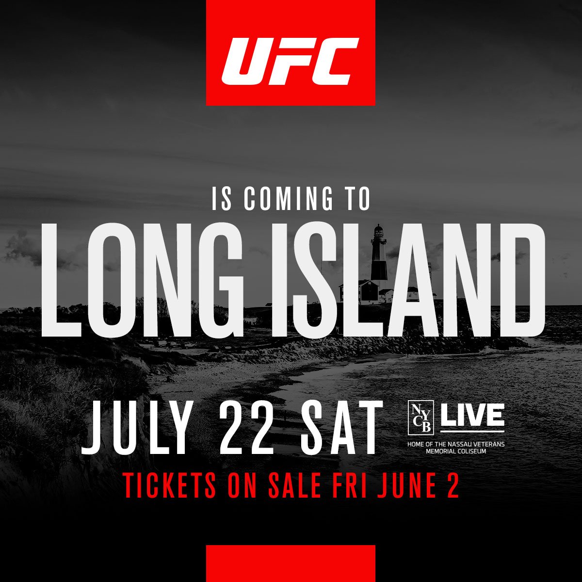 Poster/affiche UFC on Fox 25 - Long Island