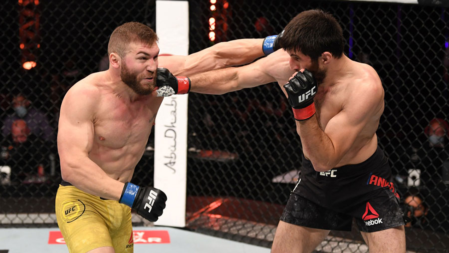 UFC 254 - Magomed Ankalaev contre Ion Cutelaba