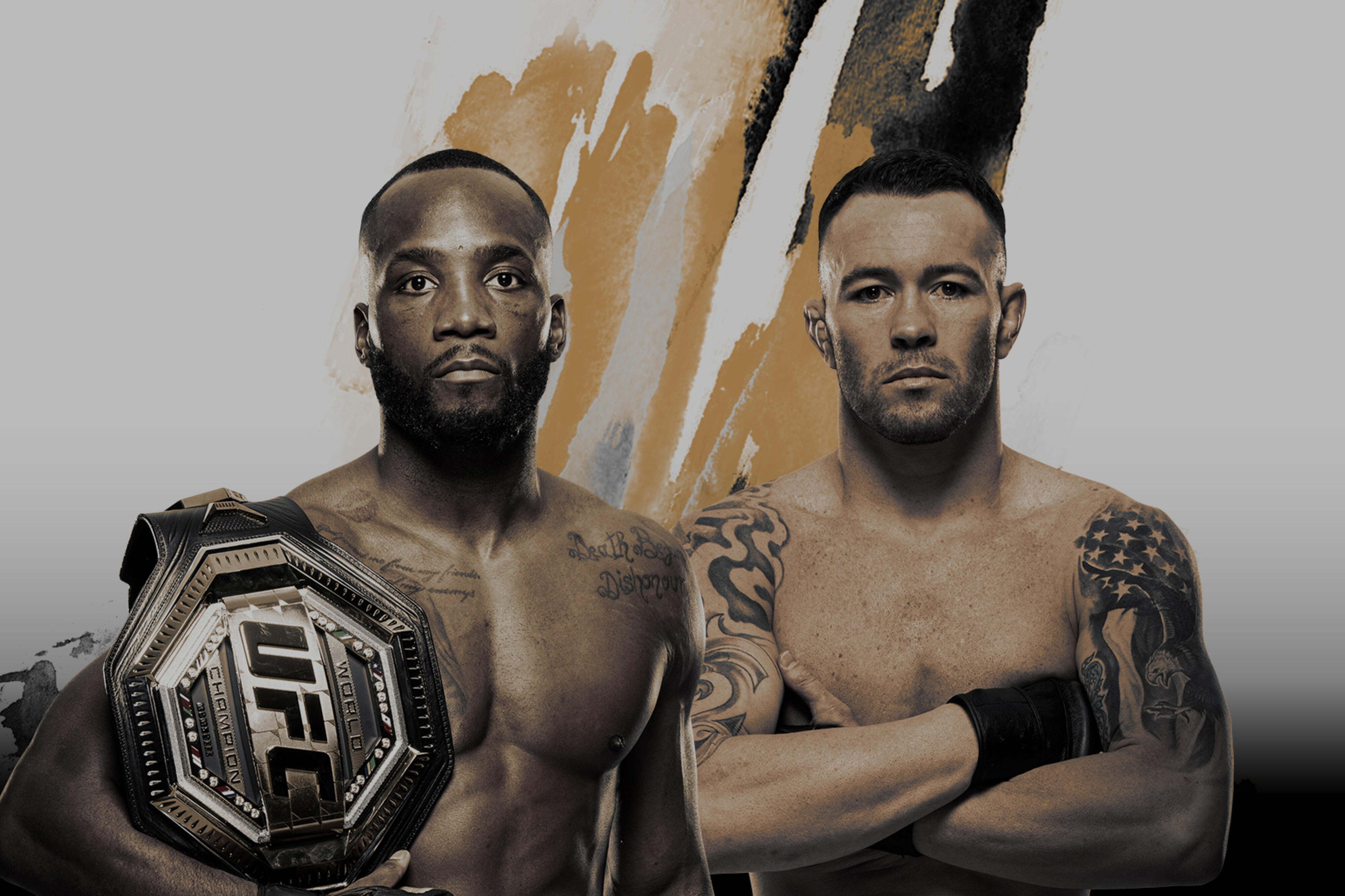 UFC 296 - Las Vegas - Poster et affiche