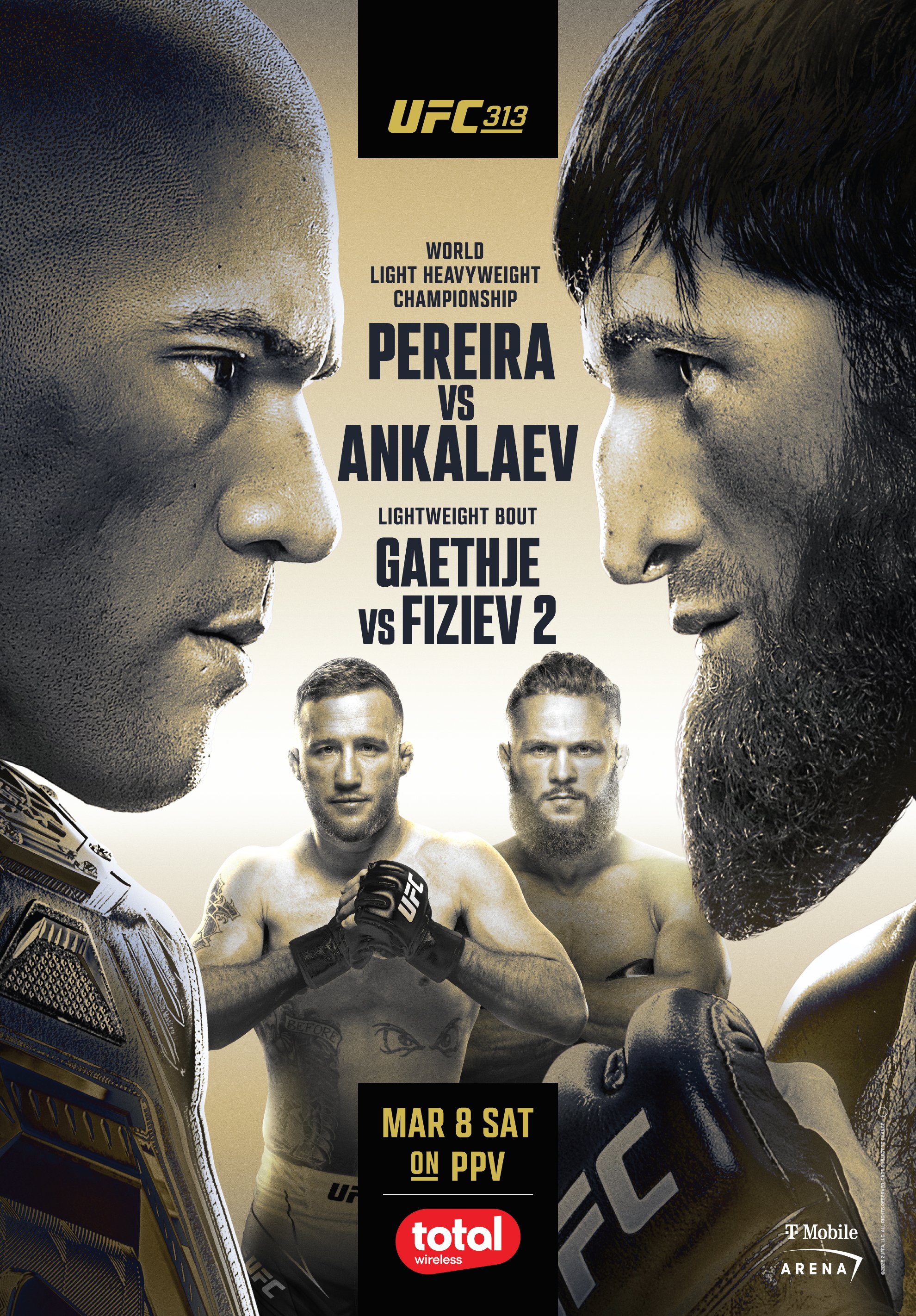 UFC 313 - Las Vegas - Poster et affiche